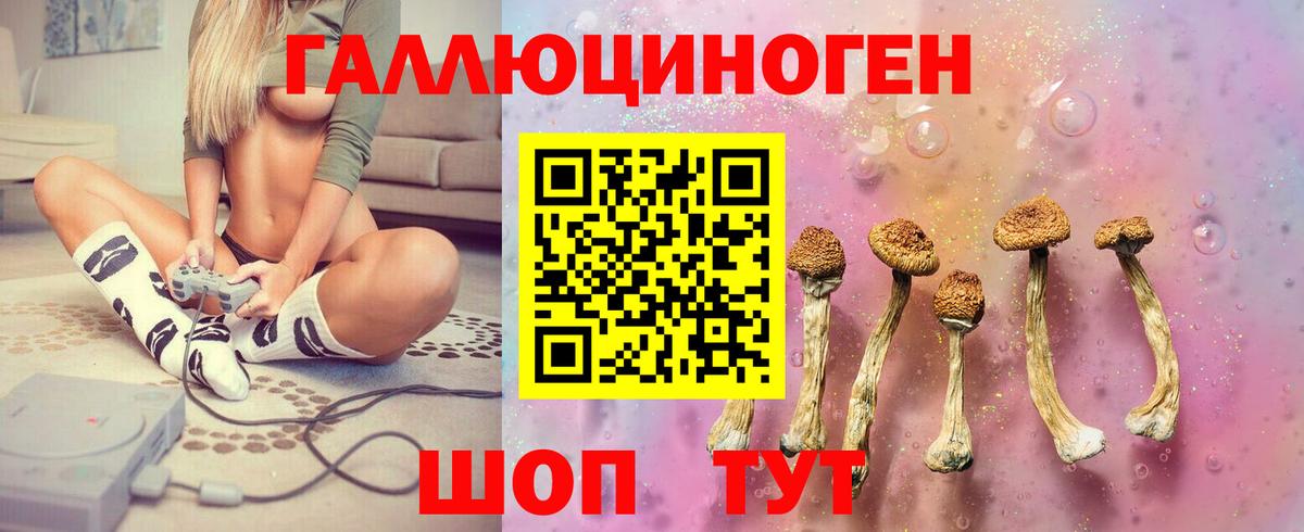 Галлюциногенные грибы MAGIC MUSHROOMS  Вход с VPN  Галлюциногенные грибы мицелий  Александров 